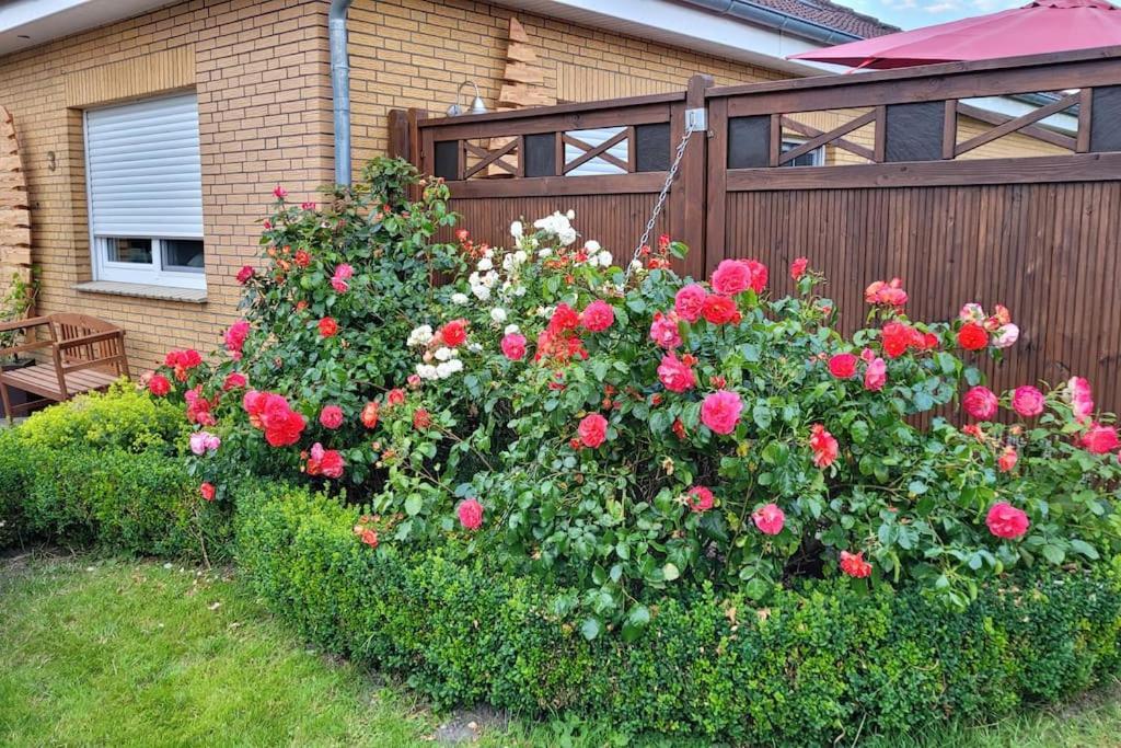 Villa Fh Ostfriesland To Huus, Zw. Emden Und Greetsiel Hinte Exterior foto